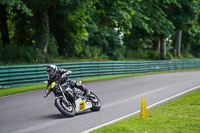 cadwell-no-limits-trackday;cadwell-park;cadwell-park-photographs;cadwell-trackday-photographs;enduro-digital-images;event-digital-images;eventdigitalimages;no-limits-trackdays;peter-wileman-photography;racing-digital-images;trackday-digital-images;trackday-photos